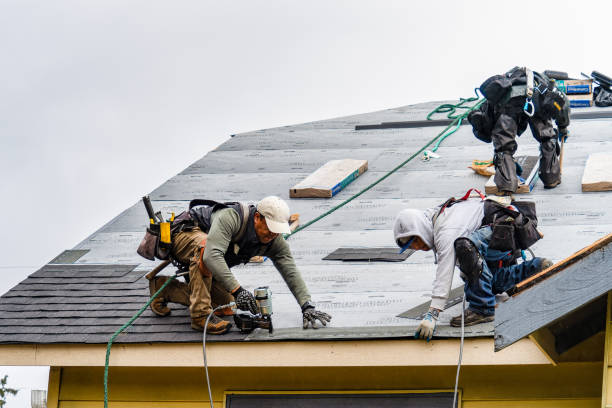 Professional Gutter Installation technician working in Delano, MN